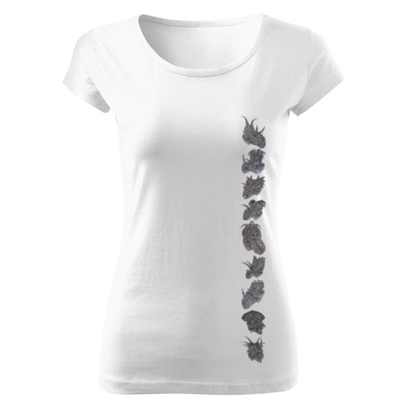 Tričko s potiskem Triko Style Rohatí dinosauři